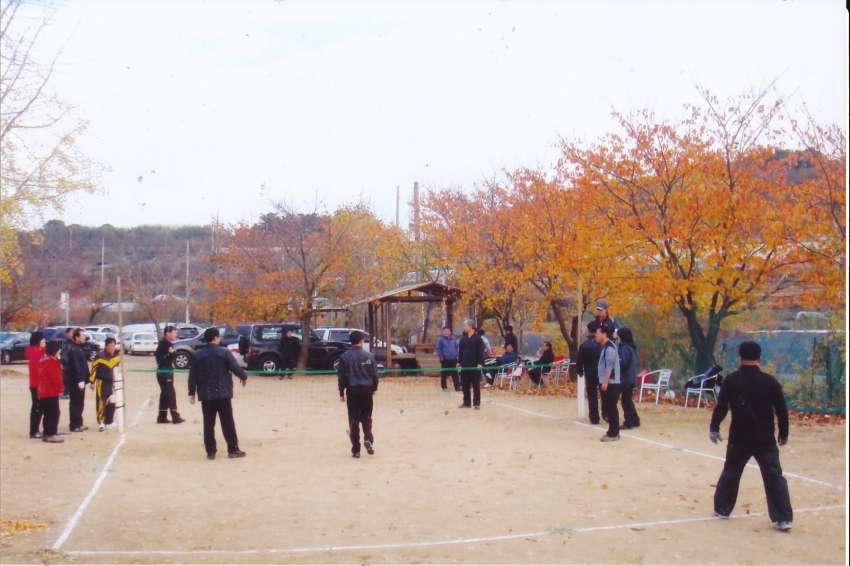 2009.11.14. 의원 체육대회(반야월내곡동) 첨부파일