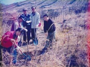 1996.4.5. 식목일 행사 첨부파일