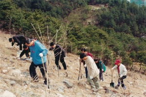 2004.3.13. 2003 봄철 나무심기 행사(지묘동 왕산) 첨부파일