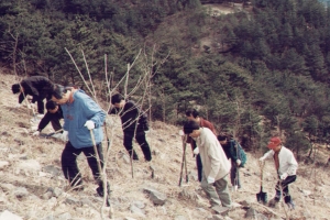 2004-03-13 2003 봄철나무심기 행사 첨부파일