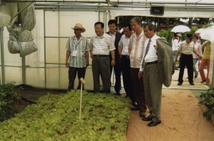 2005-08-10 2005 울진친환경농업엑스포 첨부파일