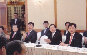 2008.9.25. 지방행정체제개편의 쟁점과 과제(지방자치발전연구회) 첨부파일