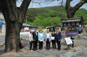 제251회 임시회 운영자치행정위원회 활동 첨부파일